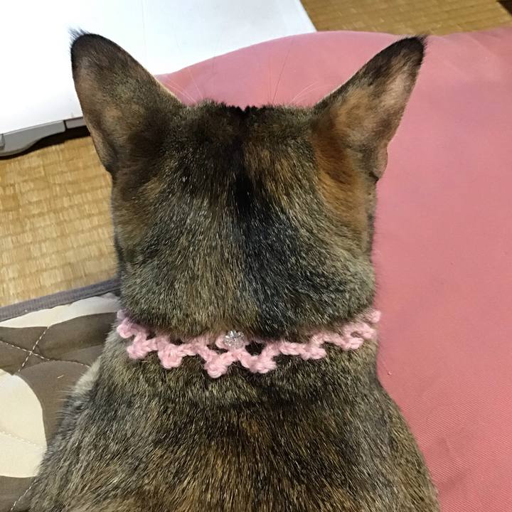 8657e6d4 9aed 4d65 800c 89587600b6eb 1588930816618