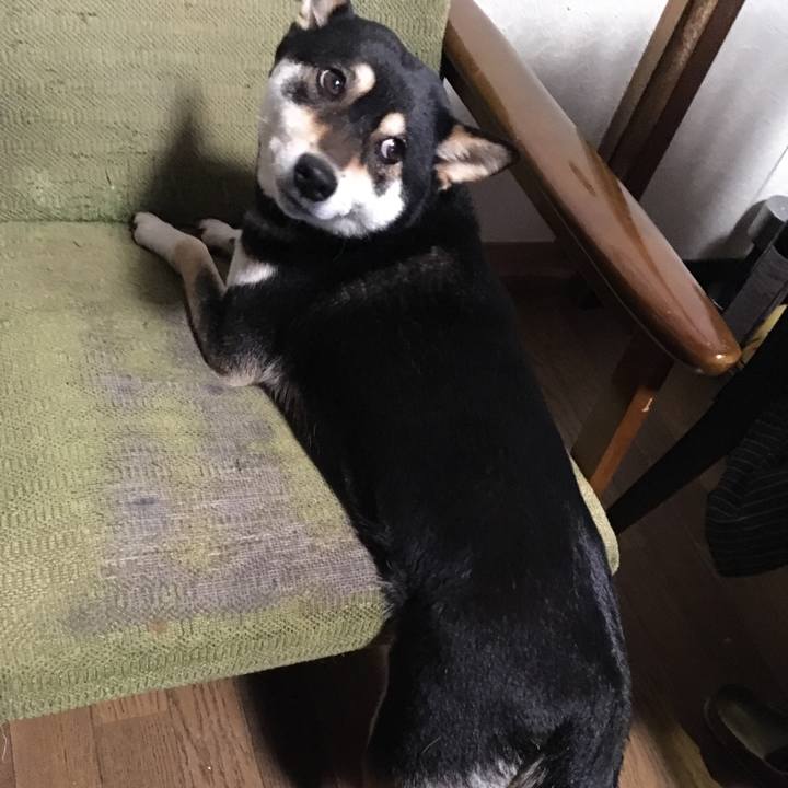 8657fa2f f2c8 4583 a43d 846f23eea6ad 1516533845913