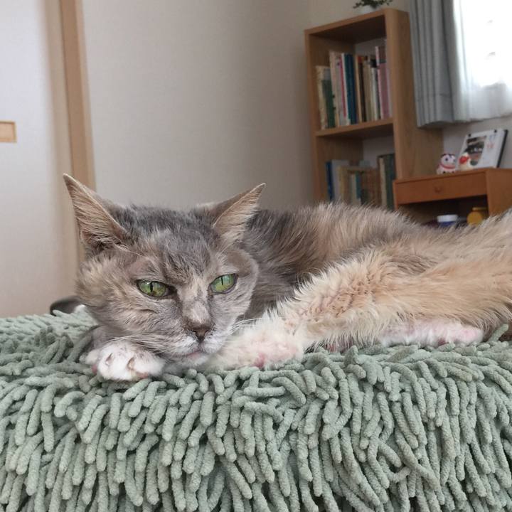 86580602 a73f 443c 85ef db4656011169 1521339776369