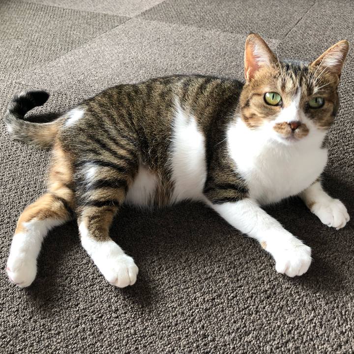 865822ee be44 457e 8a56 5e89c48189d3 1637605257642