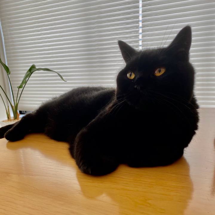 8658251c 4b32 4065 9937 d87fc3ce166a 1599209005276