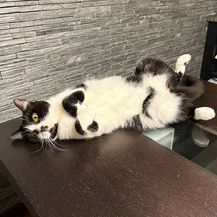 865865a4 7131 41b9 8c82 d3ee84a3a686 1761995270233