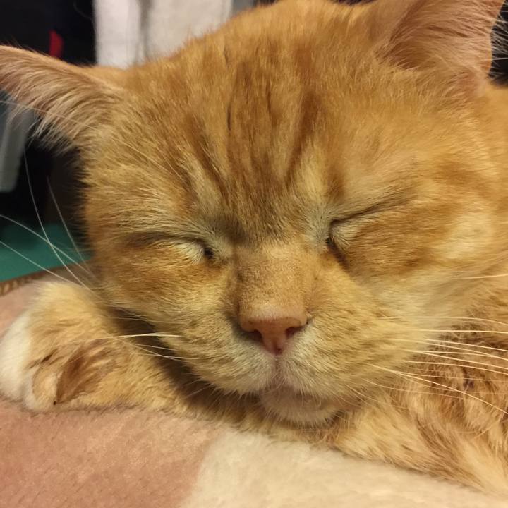 86588fc4 37a1 4dd0 8c62 d4be7eb12f85 1555422579604