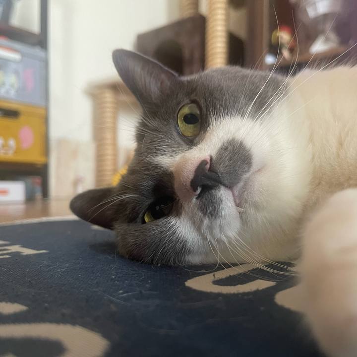 86589c22 68f1 478d 9f33 fbf683265439 1721298664177