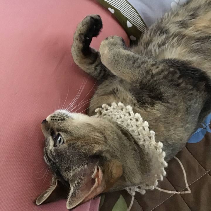 8658b975 1c3b 4080 8fdd 69c5d8e34348 1589698654958