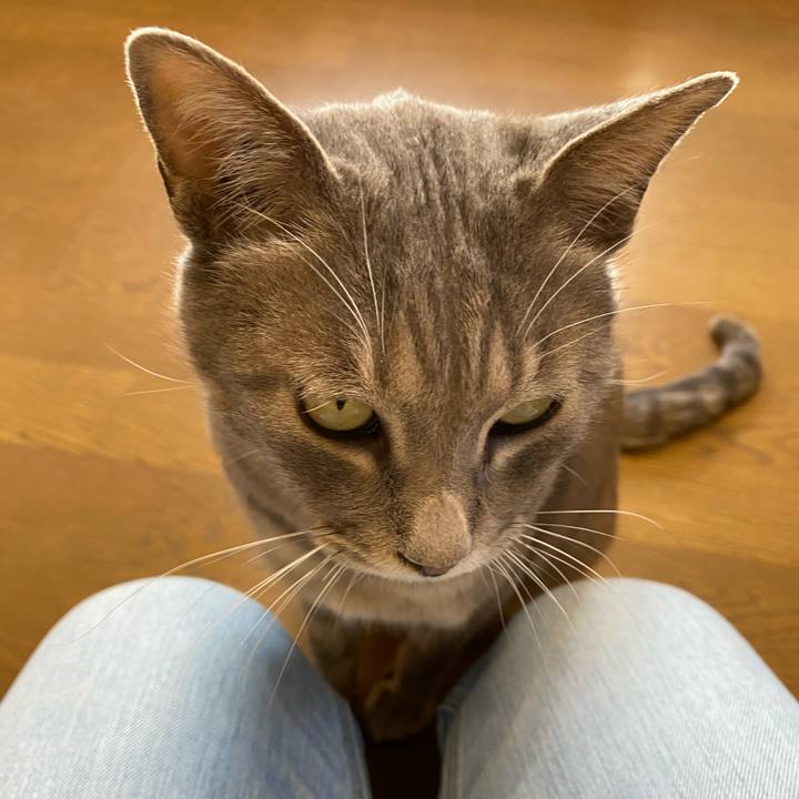 865943a1 a219 4c2d b7a5 be3b67ca2554 1588925297756