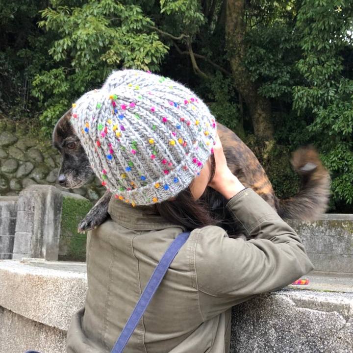 8659746e 705e 4ab2 b125 31f3d5a35943 1519122999571