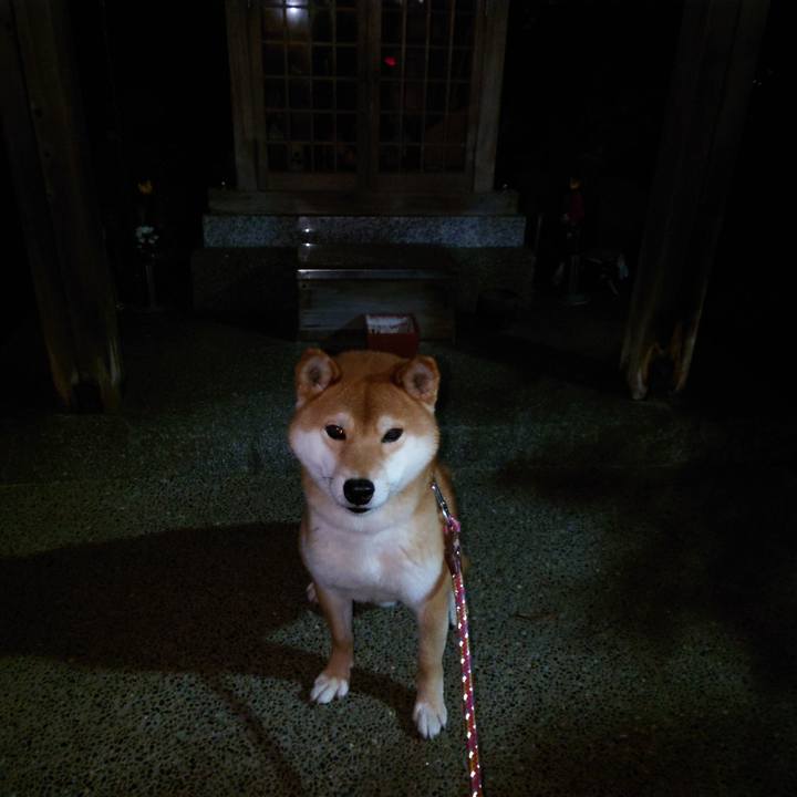 865978c3 b969 4913 80af f5174912c6c4 1766886412502