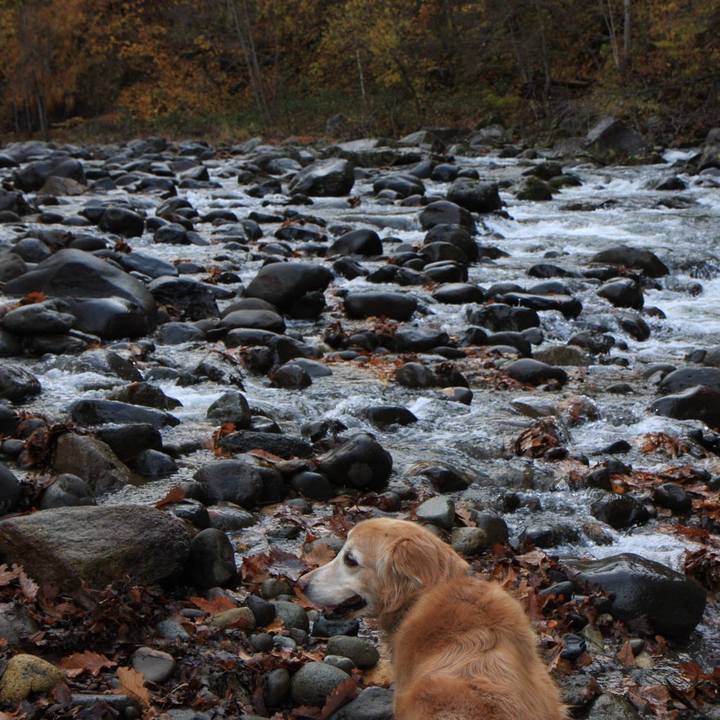 86598440 b3a7 41c6 b7d6 2981cc7a01c5 1764665026817