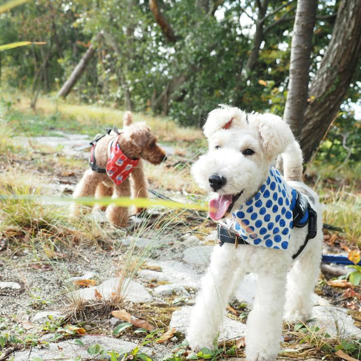 8659abca d01c 439e b22f d9afd1a4fc3b 1534143308113