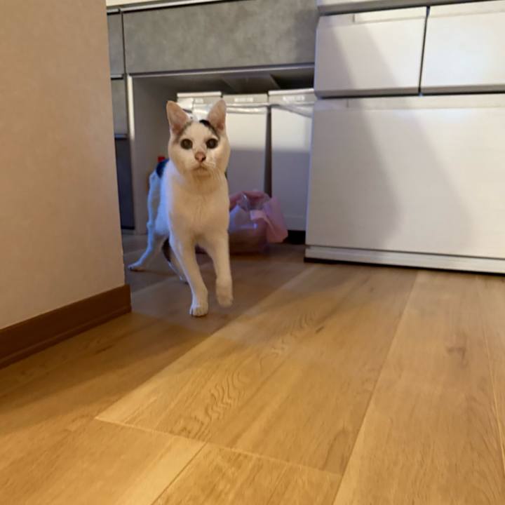 8659ad86 ed0e 4f16 b494 338a1d56eb6a 1766706828759