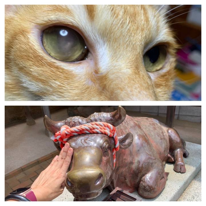 8659b0fd 6037 44eb 900f 96dfefda66e3 1627730383180