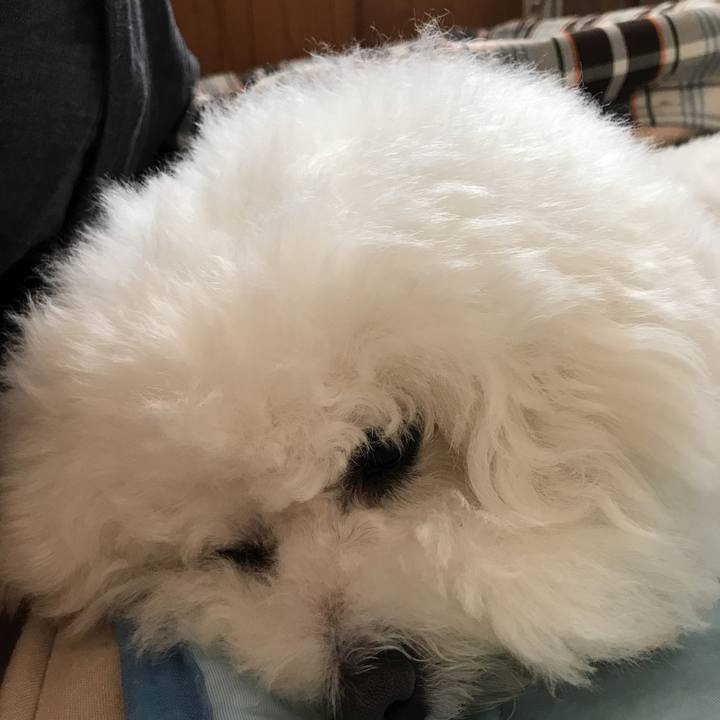 8659bc6c dc9f 4353 80df fbc753346719 1526793525805