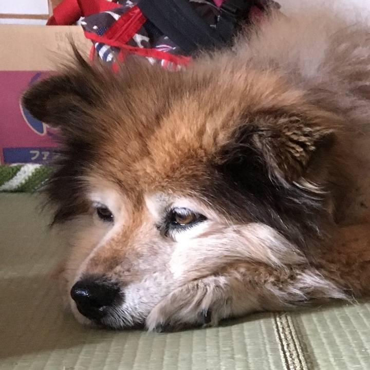 8659d950 7eb0 4231 8579 d000adc145f1 1588663515431