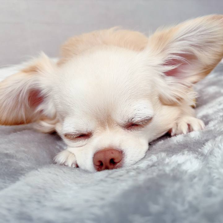 8659ed00 f401 41e0 91cf 4acd0d06b0c6 1701056702197