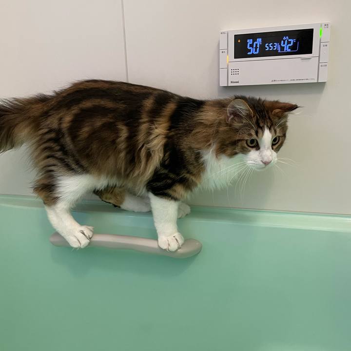 8659febf 1101 43fc ae68 7e3c4a97af1c 1639774472124