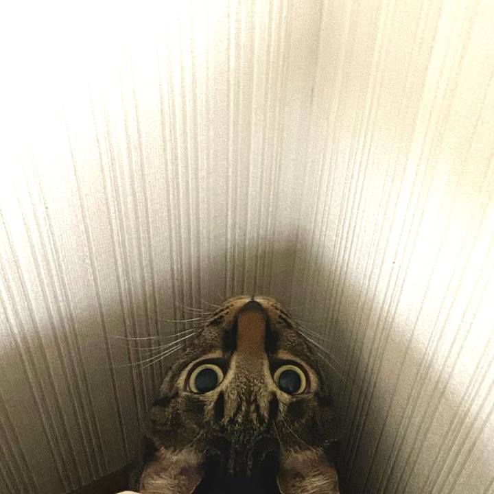 865a0e7a 7767 4e60 9db1 50d4a10f1d76 1668167522050