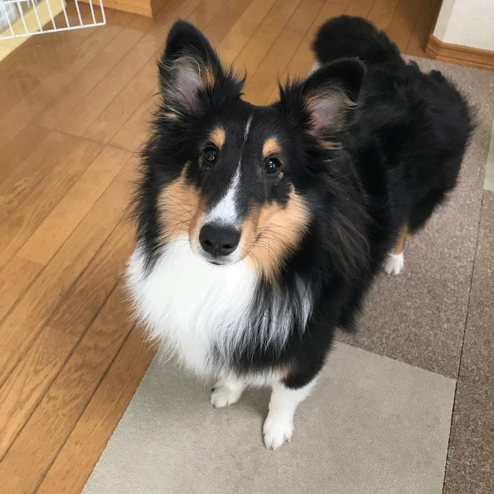 865a370a 1b80 45e1 964e 61e07c40562e 1524260717957