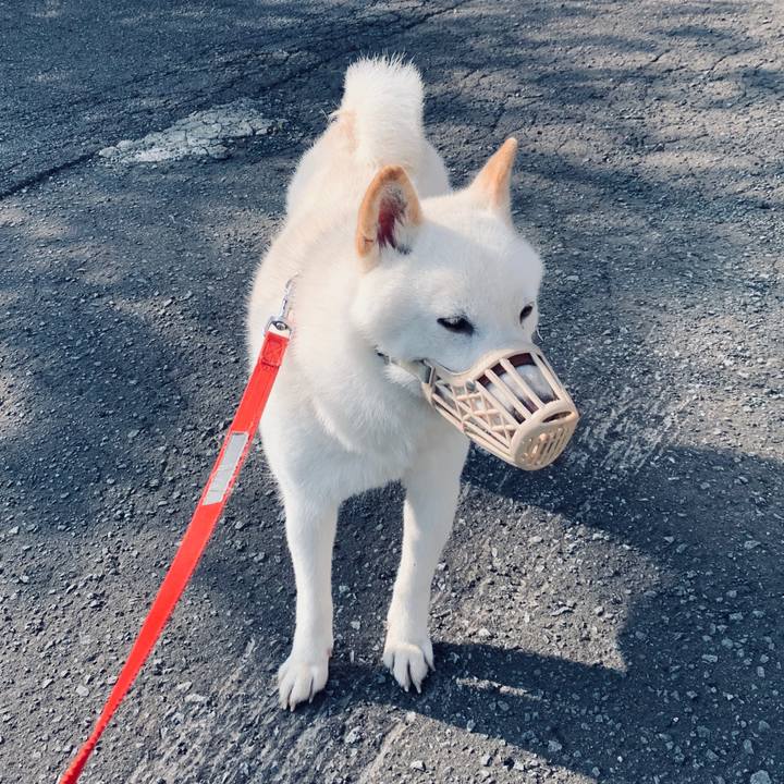 865a9d74 3d0f 4fa4 a023 699815649a90 1563667169647