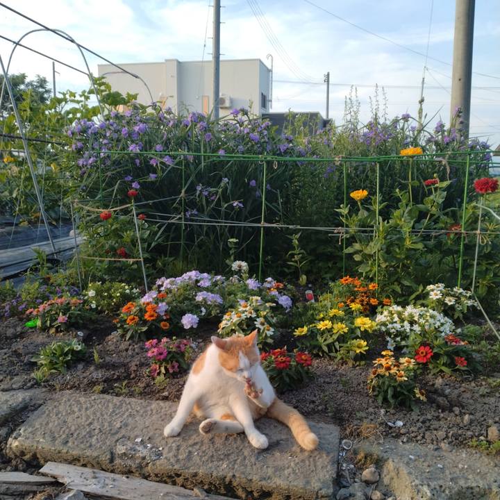 865aabbc 4e11 412a a98d ceb6ccb35d7c 1750462700905