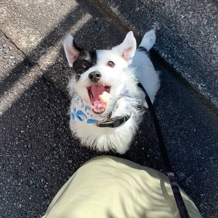 865aac73 d960 4ba3 921f 5e3b5f1d3f53 1753569970161