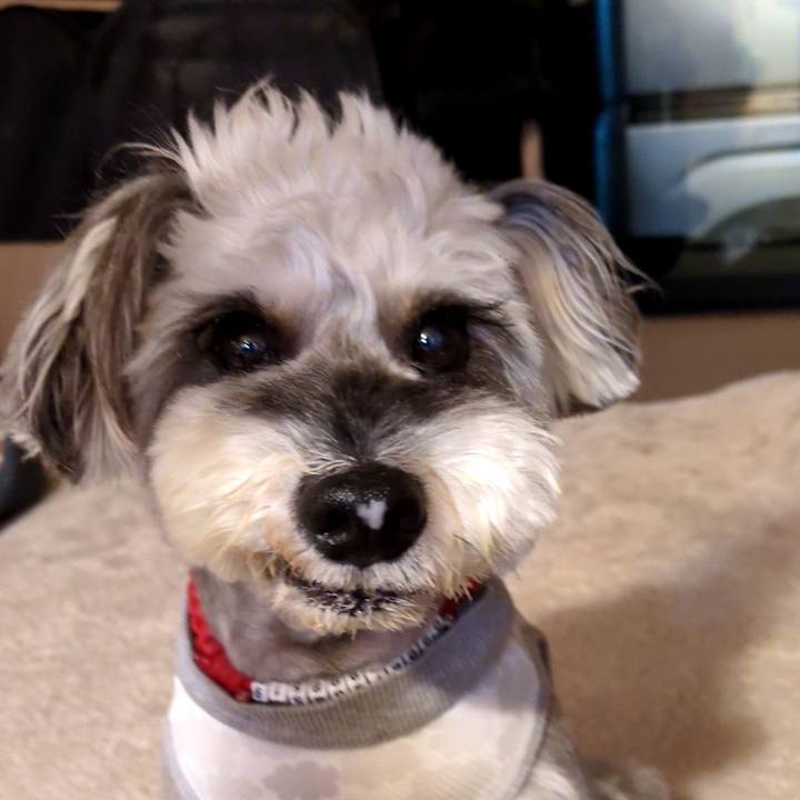 865ab835 2739 4ed7 8b47 995e2250d603 1755949113070