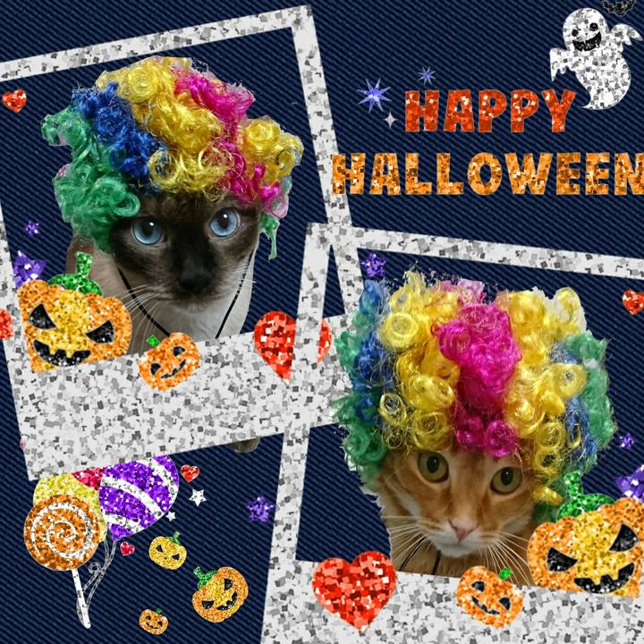 865acba2 b590 46b5 ad75 7b33b960ed86 1540938180720