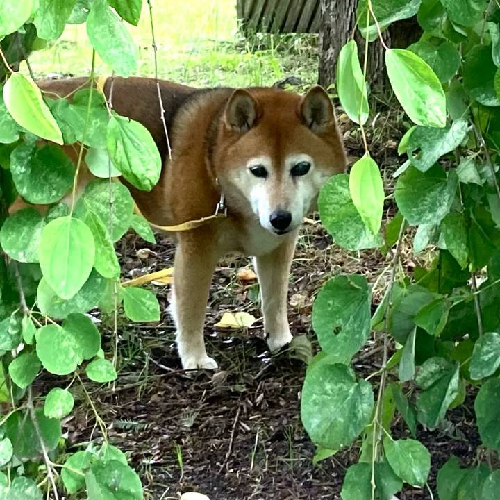 865add5c 3b62 414c 861c a1a27c217048 1654745855588