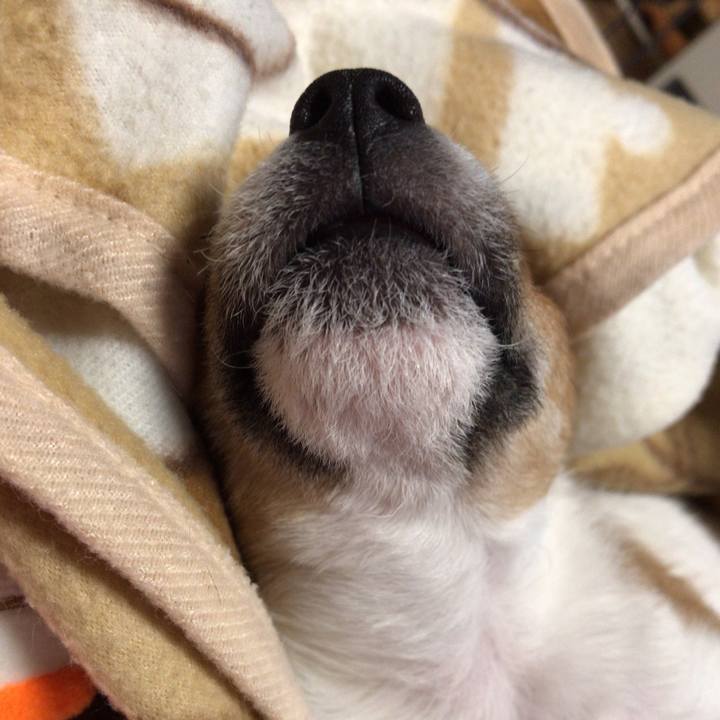 865af8e2 ff9f 4f61 b5ed 9bcb537ad946 1544496492901