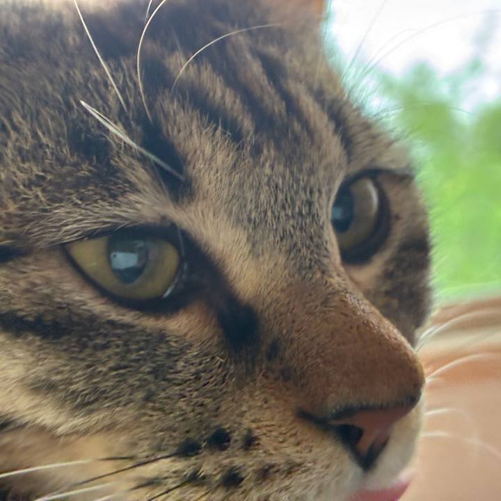 865b311b c83e 45fa 9946 4deaaed667b7 1747901352428