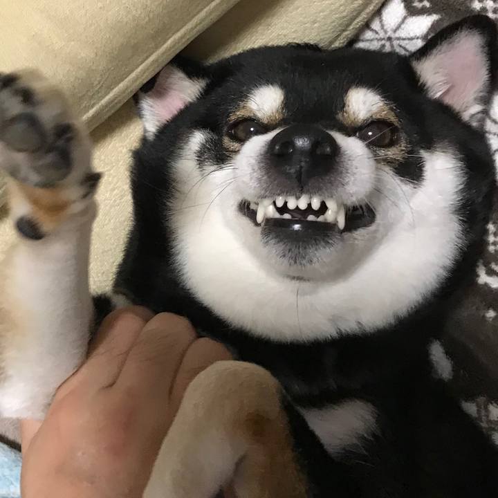 865b573e 3e57 43f3 8175 a4af0821cdb2 1523101410726