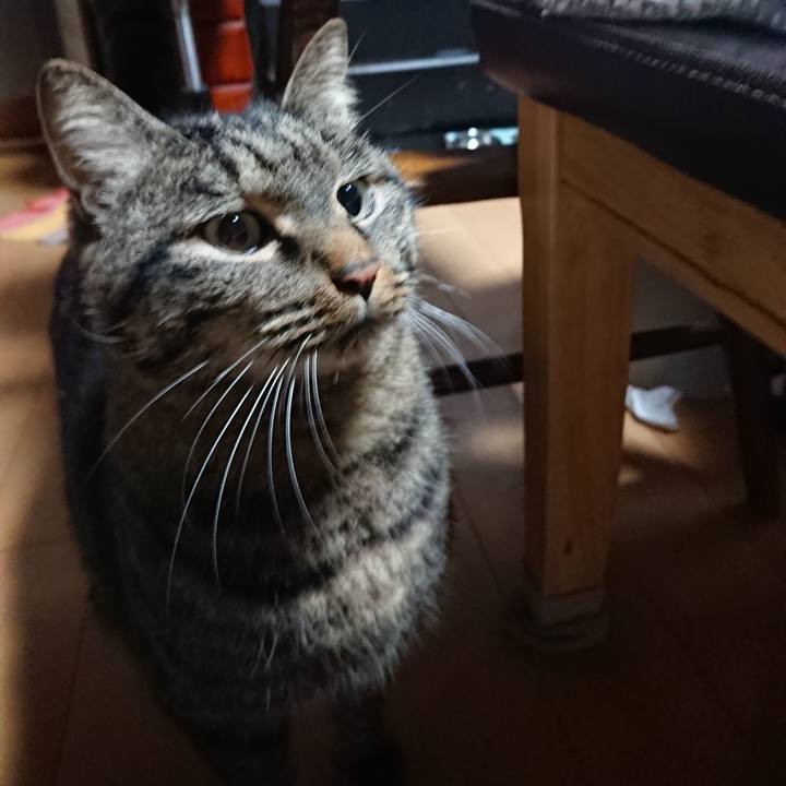 865b8302 2169 4955 b00a 1d94d6ae47e6 1638390989450