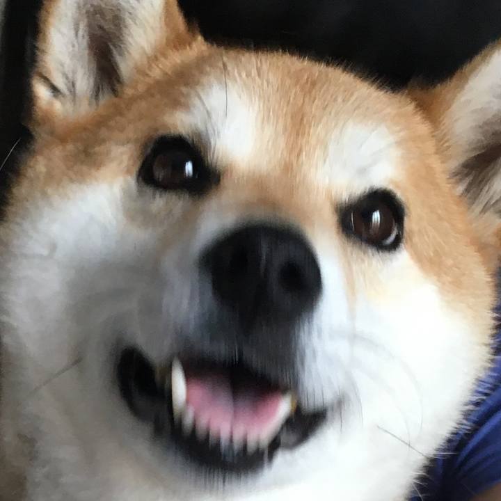 865bc0c6 fcfe 4e6e 8c79 12234d4fe172 1591077956505