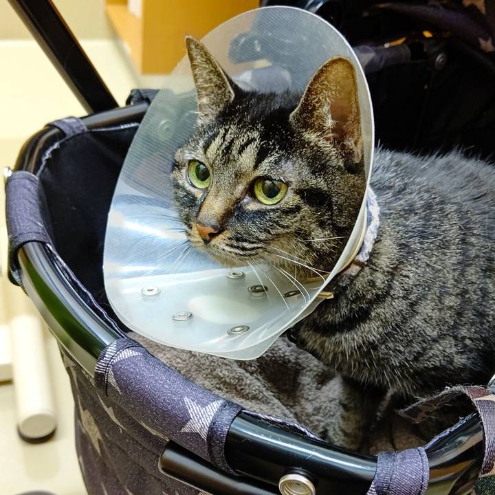 865bc593 0e3a 42de 9430 78c078ed1fea 1646308394770