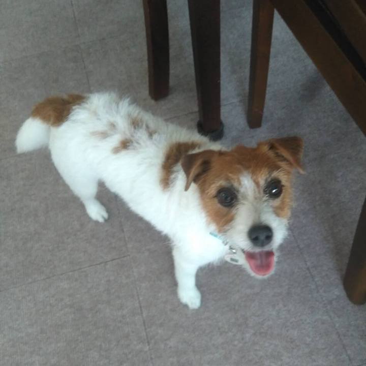 865beb48 7234 4d71 ba25 116a81a28a41 1533666099766