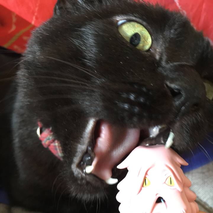 865bf29e 7ec4 4f43 a8d1 539c93a65162 1509065210418