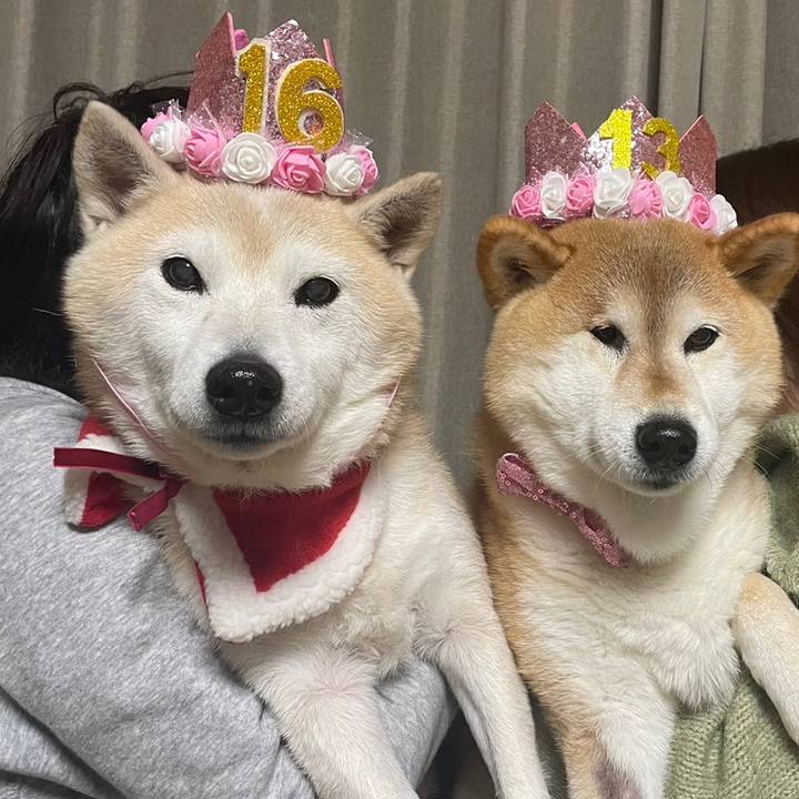 865c1894 1b69 4ad7 8cc5 a8cc381c5b30 1698941085932