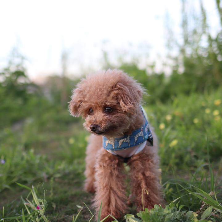 865c30cb 8dd2 4a69 b676 0ee4c8357c6a 1604487785558