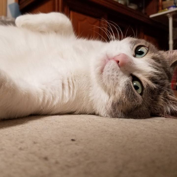 865c5ae3 57e3 488c 807a 0be6f82ef26e 1620924195323