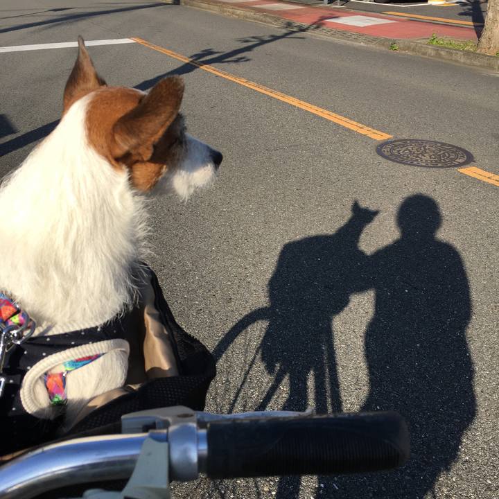 865c5c7f a925 46c7 85f3 13c0369f0a2f 1573792054688