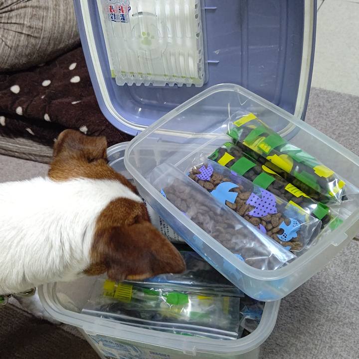 865c6cc3 1013 4e3e ab03 aae1163919c1 1691220268962