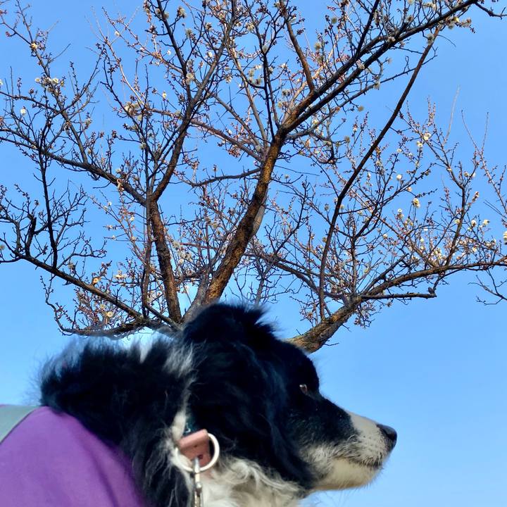 865c83c5 8439 4e6a 85b8 ef3e96a5965f 1675814273589