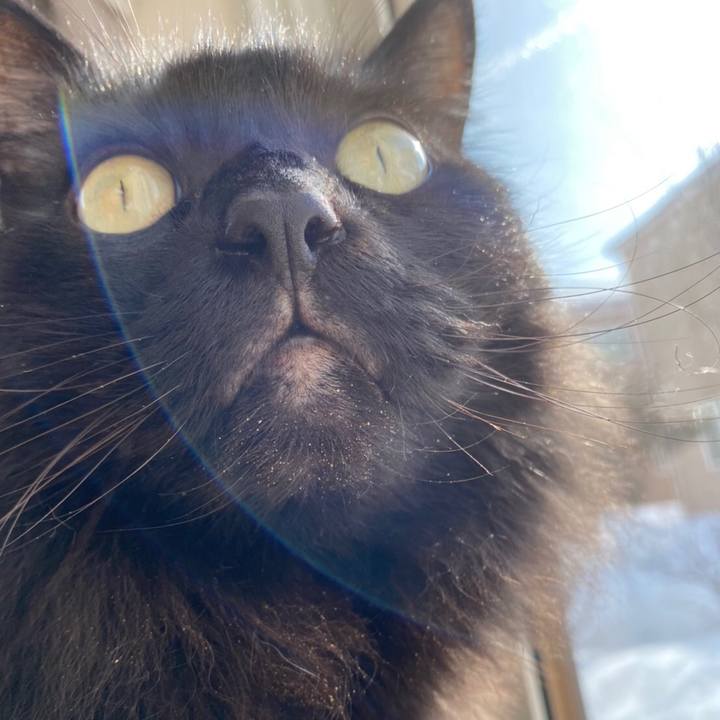 865c91a0 336d 4a93 8dd7 3e92d6027a1b 1581775341666