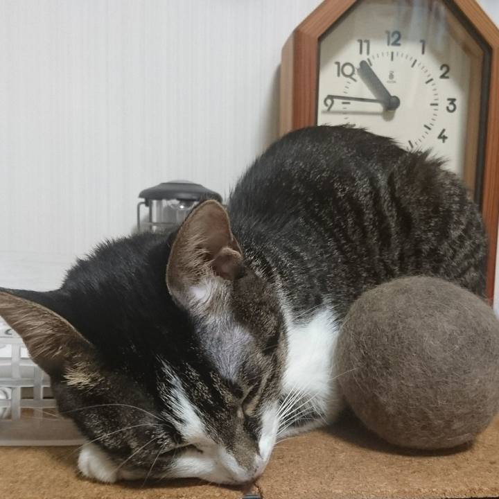 865ca857 5610 4fb1 b70f 52f52040c3b1 1508420900403