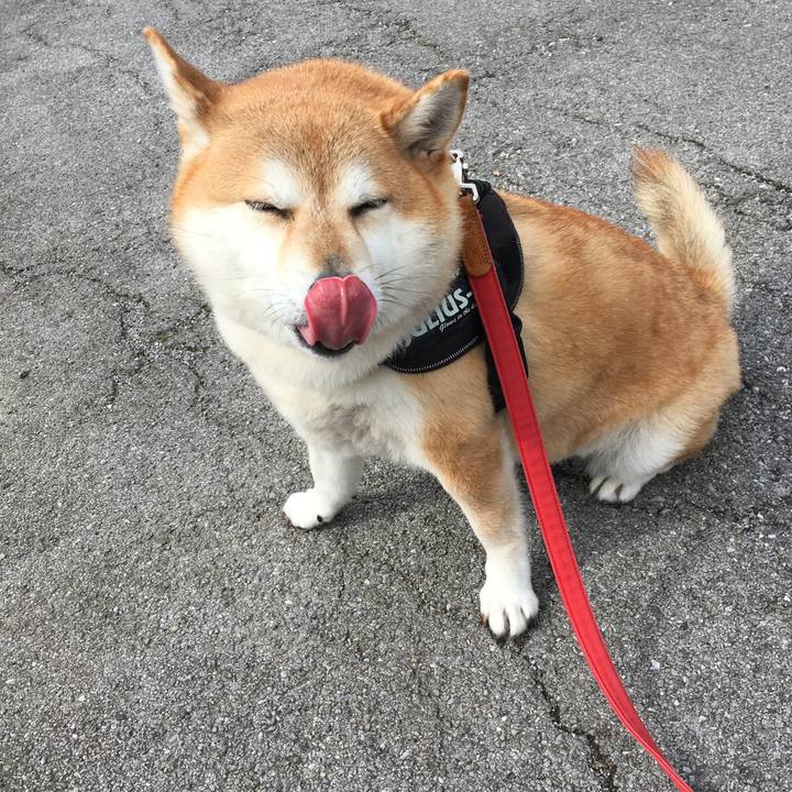 865ccb83 ff84 403f b131 8326599e4d56 1603160460851