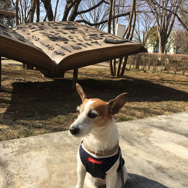 865d164b 1d93 476b a140 13a89cab7676 1614209000673