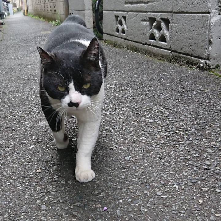 865d6269 b3f3 4101 8ae0 56156f68df0d 1584080950299