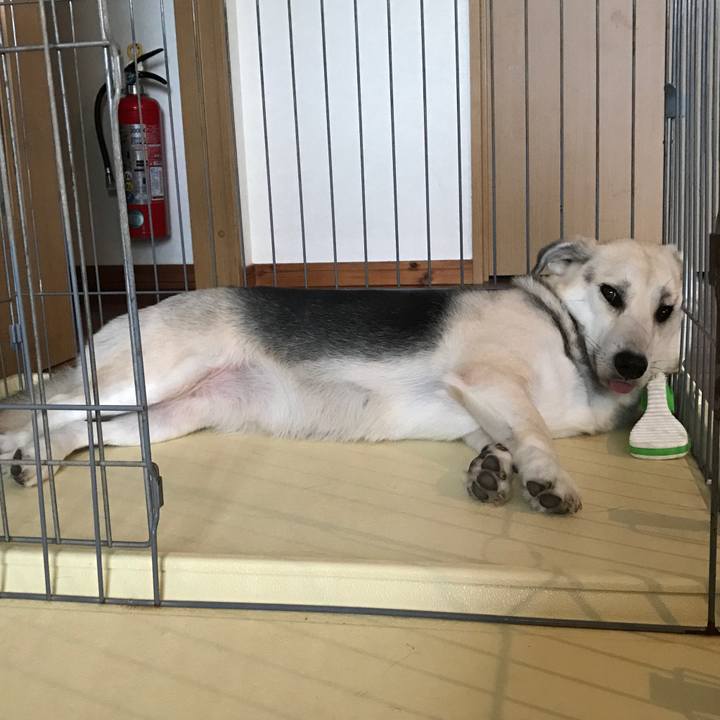 865d7658 a6d1 4fb0 a9c9 a69a0a9b3d43 1511164355923