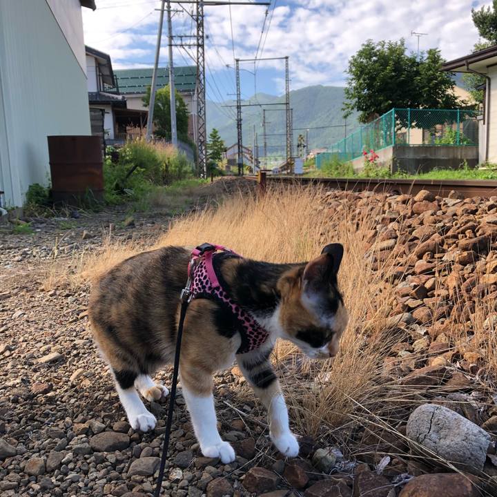 865dbd41 0283 4726 a047 9afac5195171 1530488908530