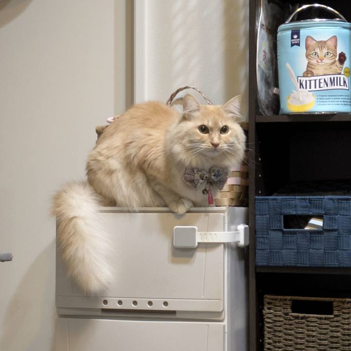 865dc413 8559 4b76 8586 f18a7514d7e2 1767184412413